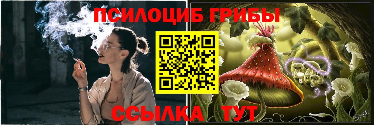 Галлюциногенные грибы мицелий  Псилоцибиновые грибы ЛСД  Темрюк  Вход с VPN 